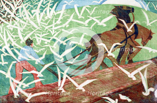Birds following a plough, 1933. Creator: Ethel Louise Spowers.