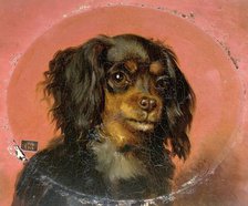 Portrait of a Puppy, 1850-1891. Creator: Guillaume Anne van der Brugghen.