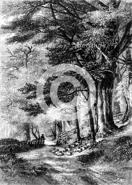 "Entrance to the Fore Walk, Wotton, Surrey" - painted by G. Barnard - from the Exhibition of the Nat Creator: Unknown.