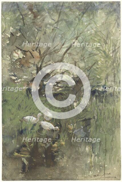 Ducks under willows, 1844-1910. Creator: Willem Maris.