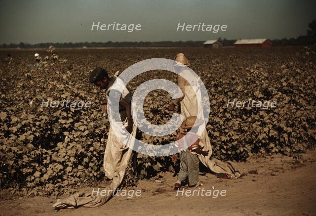 Day laborers picking cotton, near Clarksdale, Miss., 1940. Creator: Marion Post Wolcott.