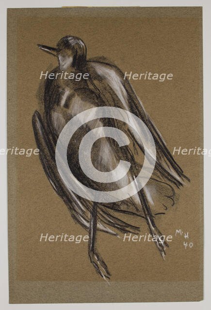 Gull, c1940. Creator: Marsden Hartley.