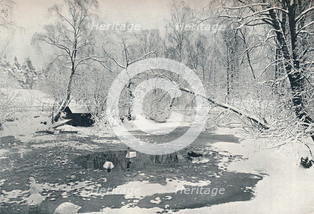 'Winter view of the open-air museum at Skansen', c1900. Artist: Unknown.