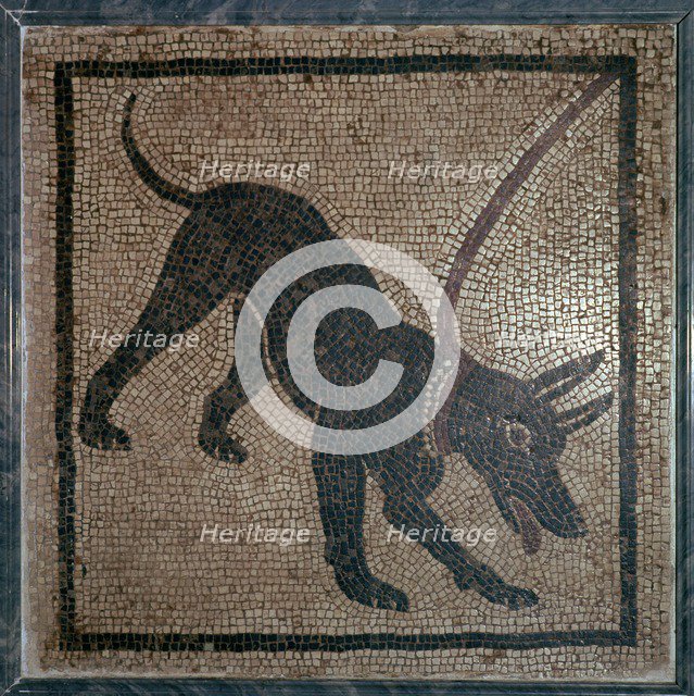 Roman mosaic of a dog, 1st century.  Creator: Unknown.