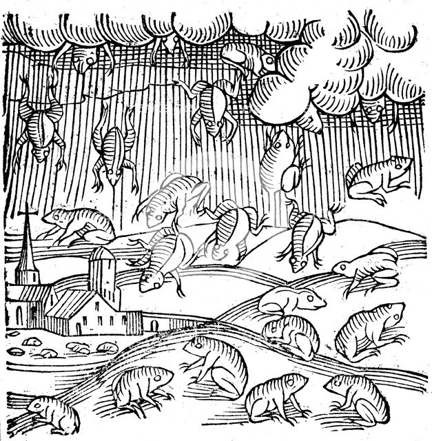 Rain of frogs recorded in 1355 (1557). Artist: Unknown