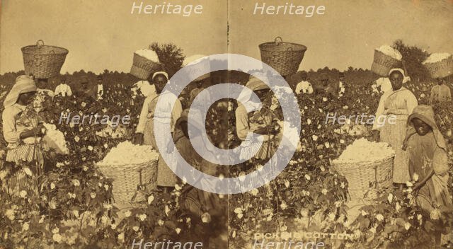 Picking cotton. [Women picking cotton], (1868-1900?). Creator: O. Pierre Havens.