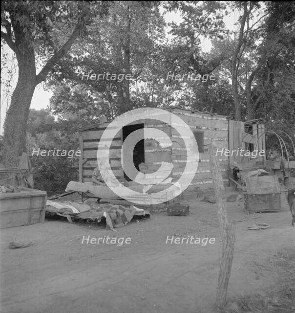 People living in miserable poverty, Elm Grove, Oklahoma County, Oklahoma, 1936. Creator: Dorothea Lange.
