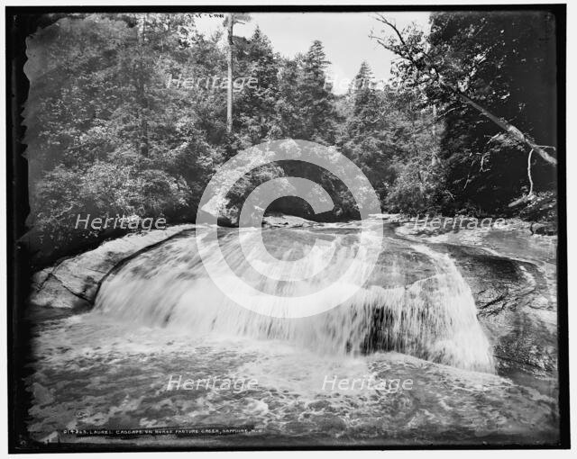 Laurel Cascade on Horse Pasture Creek, Sapphire, N.C., (1902?). Creator: William H. Jackson.
