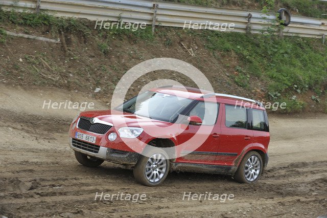 Skoda Yeti 2009. Artist: Simon Clay.