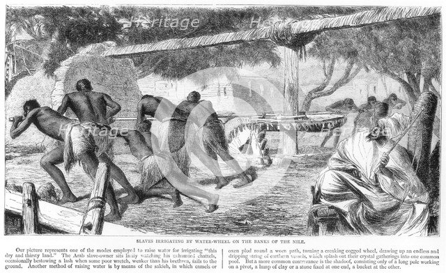 'Slaves Irrigating by Water-Wheel on the Banks of the Nile', 19th century. Artist: Unknown