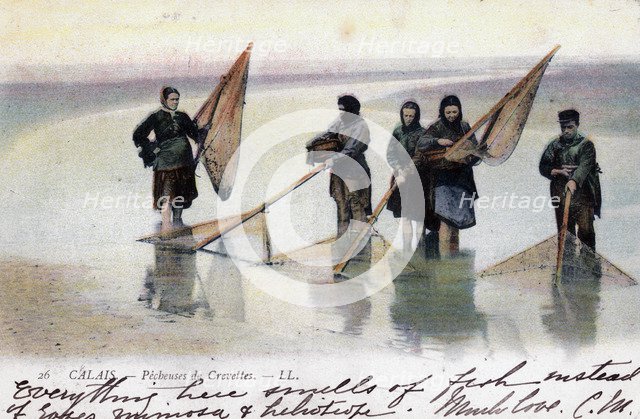 Women shrimp fishers, Calais, 1905. Artist: Unknown
