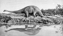 A diplodocus, 20th century. Artist: Unknown