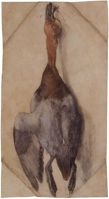 Dead Duck, ca 1502 (or ca 1512). Creator: Dürer, Albrecht (1471-1528).