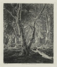 Bois de Pierrefonds, 1874. Creator: Adolphe Théodore Jules Martial Potémont (French, 1828-1883).