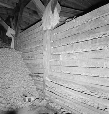 Potatoes in storage cellar at end of season, Merrill, Klamath County, Oregon, 1939. Creator: Dorothea Lange.