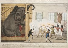 'Destruction of the noble elephant sat Mr Cross's Exeter Change', 1826. Artist: Ingrey and Madeley