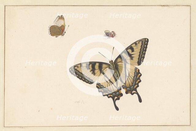 Three Butterflies, c.1683-c.1726. Creator: Herman Henstenburgh.