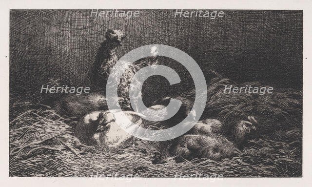 Poules, 1867. Creator: Charles Emile Jacque.