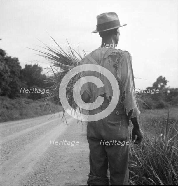 Old time Negro living on cotton patch near Vicksburg, Mississippi, 1936. Creator: Dorothea Lange.