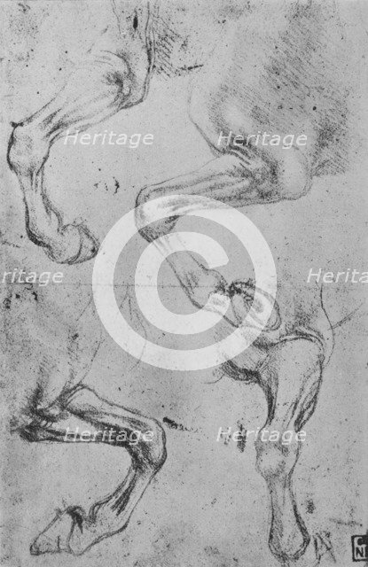 'Four Studies of Horses' Legs', c1480 (1945). Artist: Leonardo da Vinci.