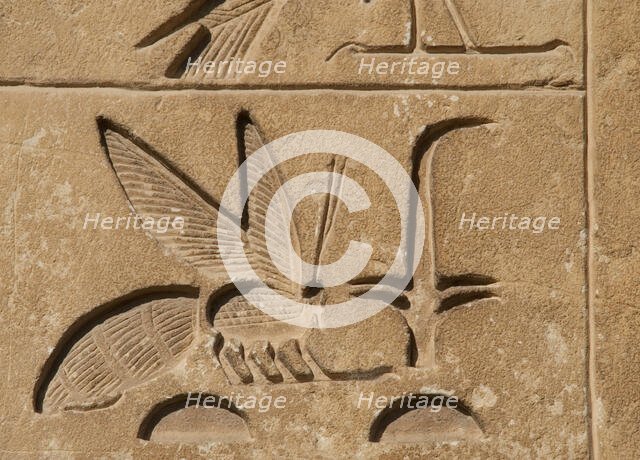 Hieroglyphic writing relief: Upper Egypt, (rush) and Lower Egypt (bee), Saqqara, Egypt, 2015.  Creator: Unknown.