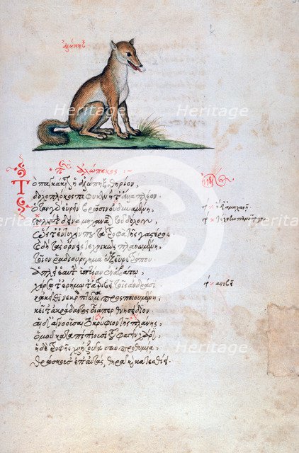 The Fox, 1564. Artist: Unknown