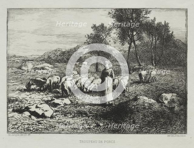 Herd of Swine, 1868. Creator: Charles-Émile Jacque (French, 1813-1894).