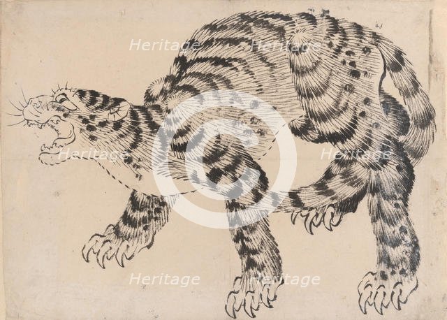 Tiger, 19th century. Creator: Hokusai School.
