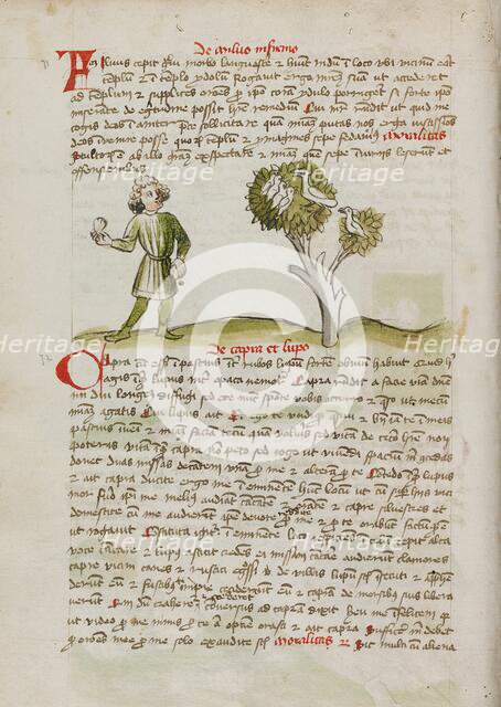 A Man Throwing at Birds Perched in a Tree; Fables, third quarter of 15th century. Creator: Unknown.