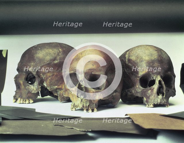 Skulls found in the stream-bed of the Walbrook, London, (60 AD?). Artist: Unknown