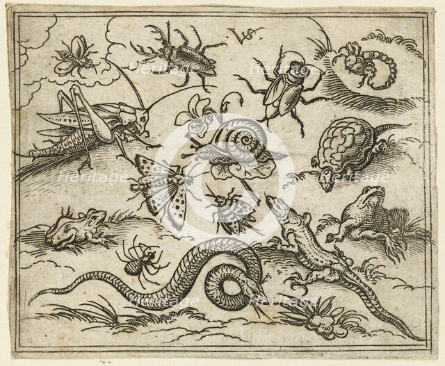 Group of insects and reptiles on plain ground with rocks, including an iguana, a lizard..., 1557.  Creator: Virgil Solis.