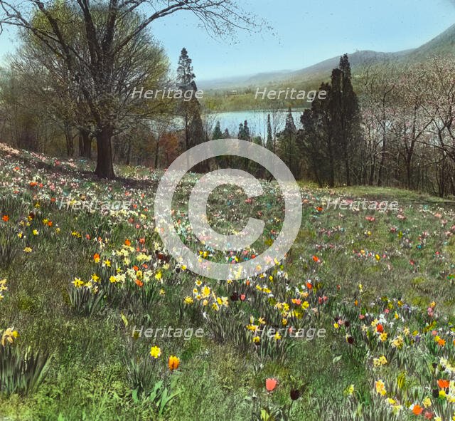 "Cragston," John Pierpont Morgan house, Highland Falls, New York., c1913. Creator: Frances Benjamin Johnston.