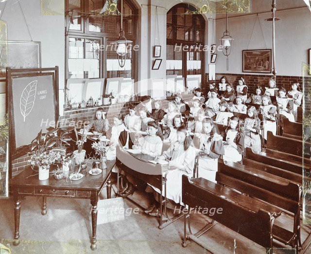 Nature lesson, Albion Street Girls School, Rotherhithe, London, 1908. Artist: Unknown.