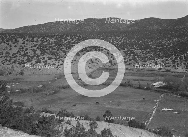 Outlying fields of Mexican village in the hills of the Tewa Basin, New Mexico, 1935. Creator: Dorothea Lange.