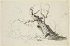 Large Gnarled Tree with Bearded Man Seated Below, between 1820 and 1848. Creator: Thomas Cole.