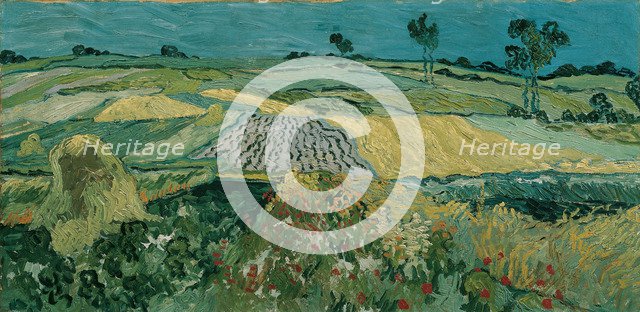 The Plain of Auvers, 1890. Artist: Gogh, Vincent, van (1853-1890)