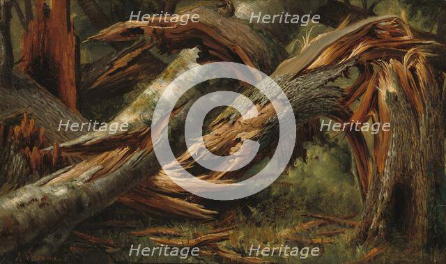 Fallen Tree, 1839/1845. Creator: Alexandre Calame.