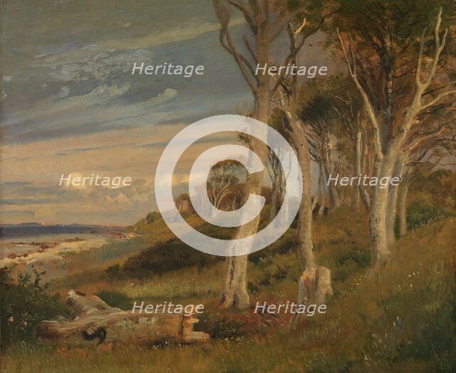 The Slopes of Asnaes Dyrehave, 1847. Creator: Johan Thomas Lundbye.