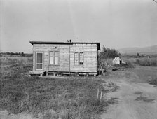 Possibly: Yakima,Washington, 1939. Creator: Dorothea Lange.