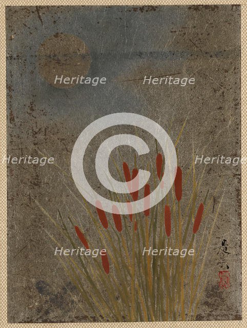 Cat Tails and Moon. Creator: Shibata Zeshin.