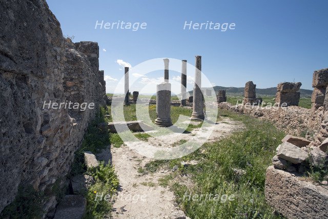 The Summer Baths at Thuburbo Majus, Tunisia. Artist: Samuel Magal