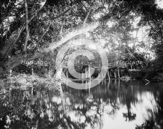 Puente Real near Rascon, between 1880 and 1897. Creator: William H. Jackson.