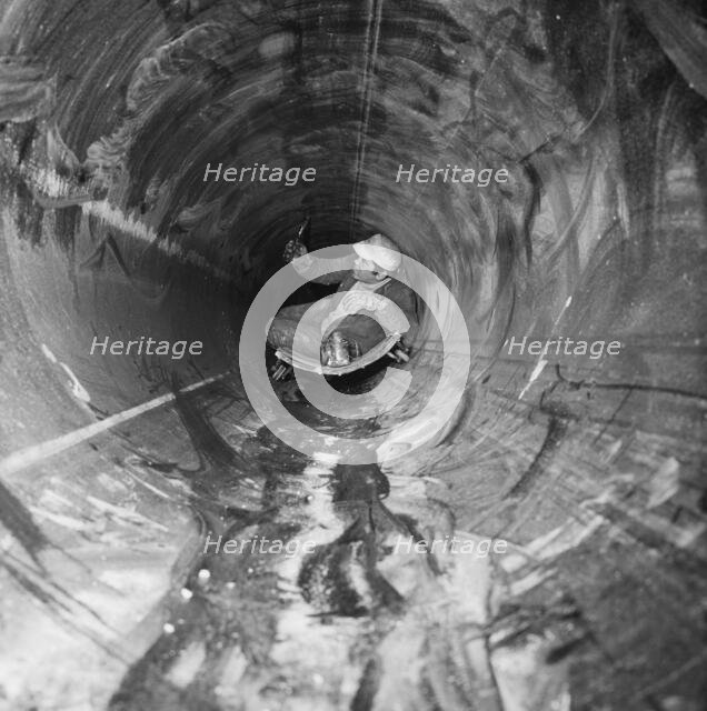 North Coates, East Lindsey, Lincolnshire, 08/04/1970. Creator: John Laing plc.