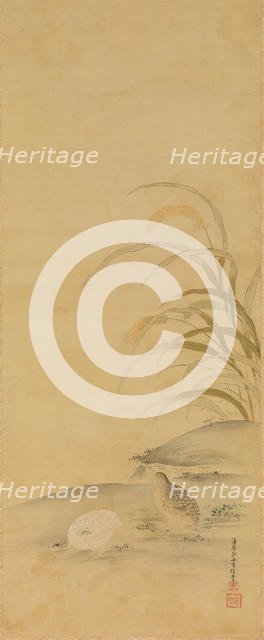 Quail and Millet, late 17th century. Creator: Kiyohara Yukinobu.