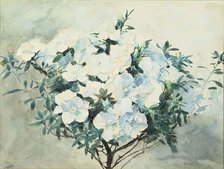 White Azaleas, ex.1909. Creator: Francis Edward James.