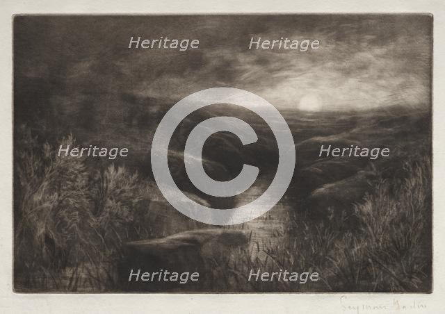 Haunt of the Mosquito. Creator: Francis Seymour Haden (British, 1818-1910).