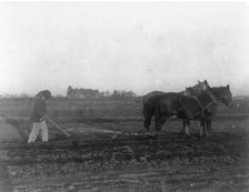Improved method of plowing, (1899?). Creator: Frances Benjamin Johnston.