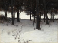 Woods in Winter, 1886. Creator: Charles Warren Eaton.