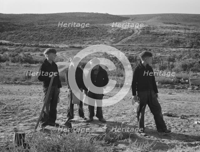 Boys wait for school bus in the morning, Malheur County, Oregon, 1939. Creator: Dorothea Lange.