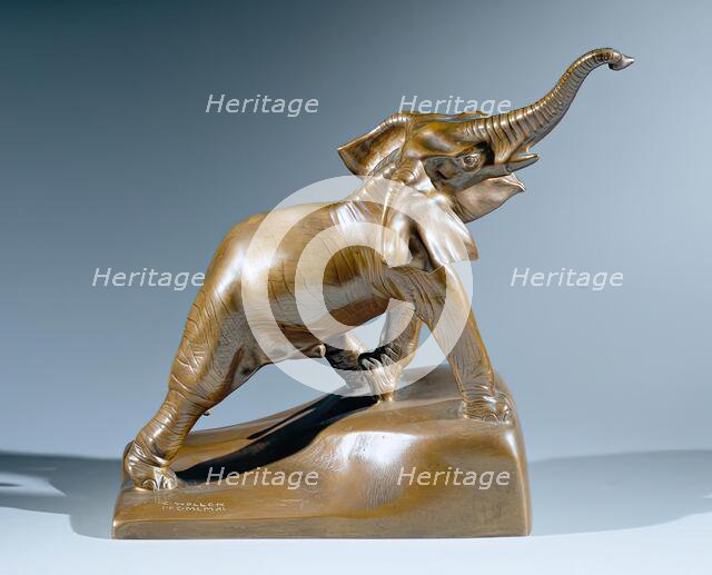 The young elephant, 1911. Creator: Karl Wollek.